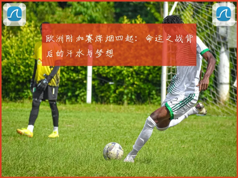 欧洲附加赛烽烟四起:命运之战背后的汗水与梦想
