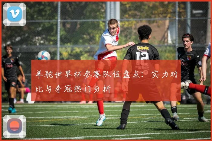 羊驼世界杯参赛队伍盘点:实力对比与夺冠热门分析