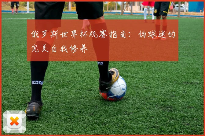俄罗斯世界杯观赛指南：伪球迷的完美自我修养