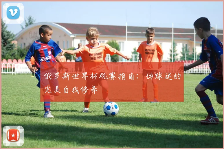 俄罗斯世界杯观赛指南:伪球迷的完美自我修养