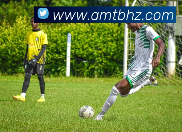 米兰体育app与米兰直播app对比服务体系